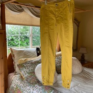 CAbi Tracker Pants